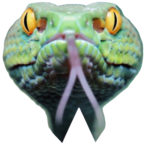 snakeTongue